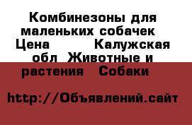 Комбинезоны для маленьких собачек › Цена ­ 500 - Калужская обл. Животные и растения » Собаки   